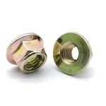 مهره واشرگردان (din6927)